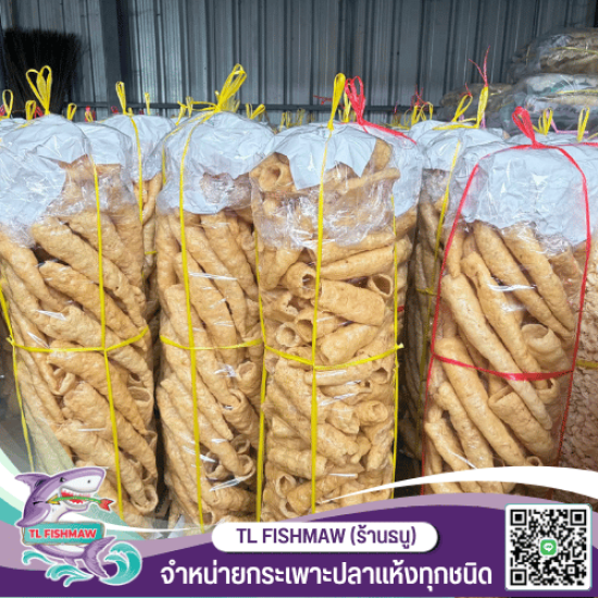 กระเพาะปลาแห้งซื้อที่ไหน